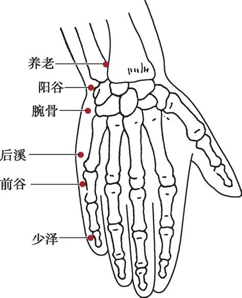 潛穴|潛穴的解釋